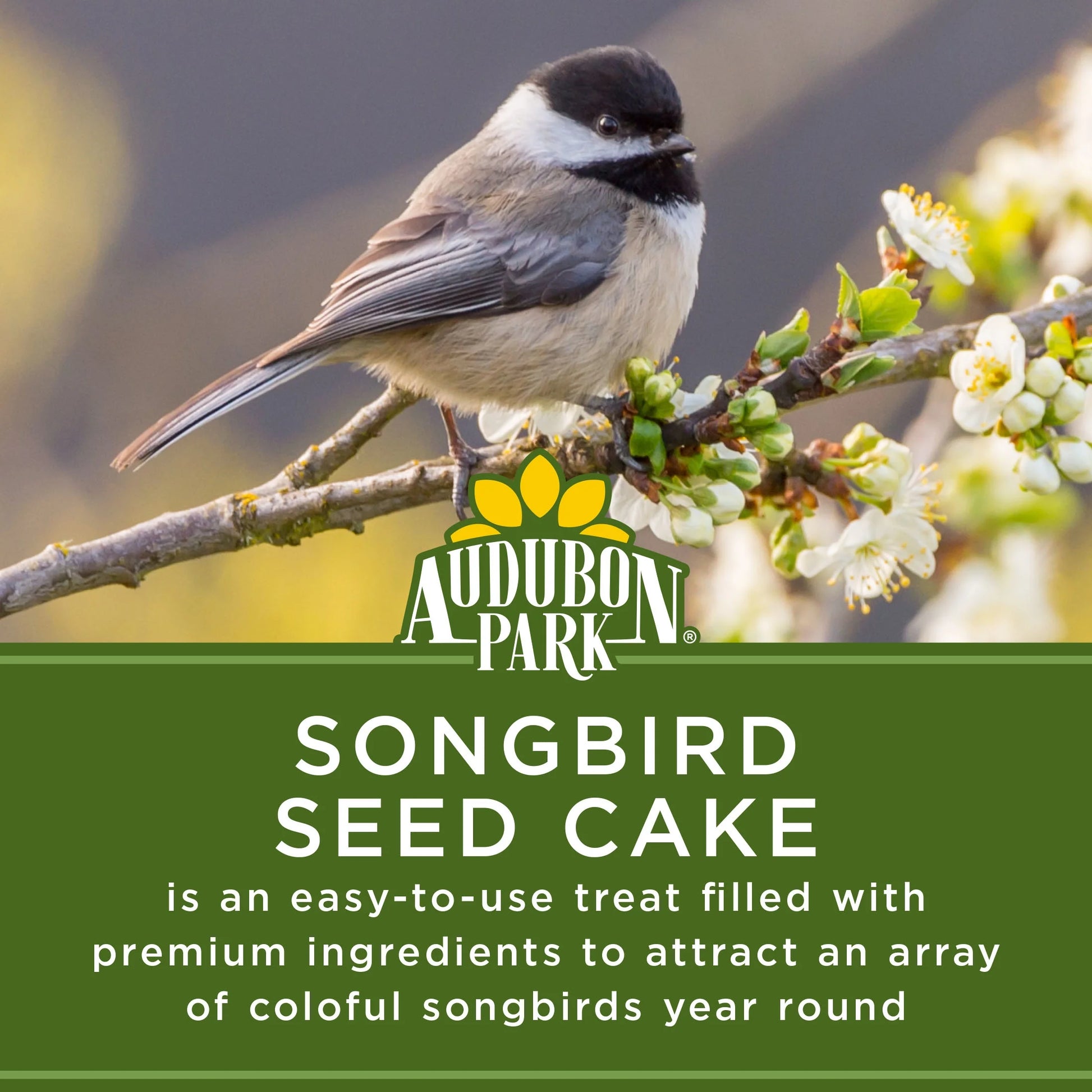 Songbird Seed Cake Wild Bird Food, Premium Pressed Bird Seed Mix, 26 Oz., 1 Count per Pack