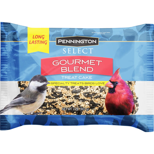 Premium Gourmet Wild Bird Seed Cake, 2 Lb., 1 Pack, Dry