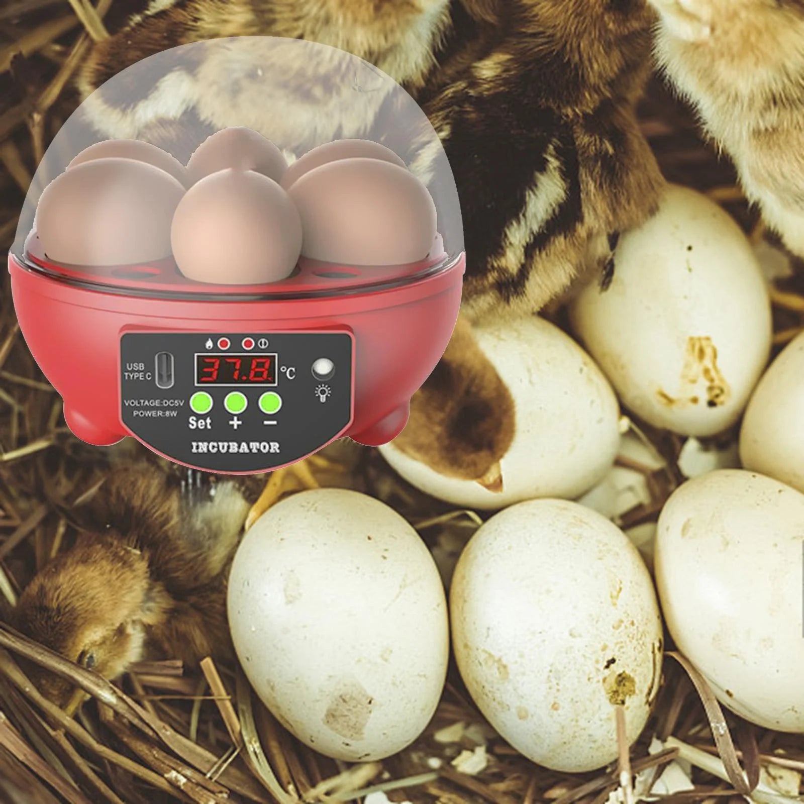 Automatic Digital Poultry Ing Machine, Automatic Egg Turner Temperature Control Small 6 Egg Incubator for Chicken Ducks Quail Red