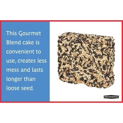 Premium Gourmet Wild Bird Seed Cake, 2 Lb., 1 Pack, Dry